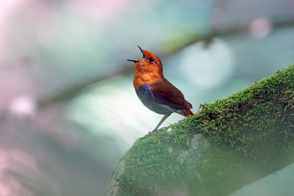 医療法人社団 ゆうの会